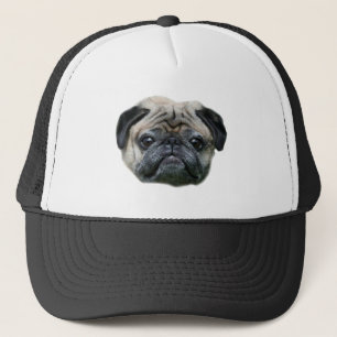 Pug Dog pet