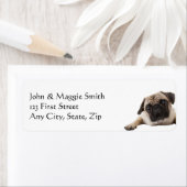 Pug Dog Pet Animal Etiket (Insitu)