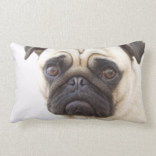 Pug Dog Pillow Kussen