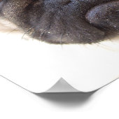 Pug Dog Poster Print (Hoek)