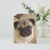 PUG DOG PUP BRIEFKAART (Staand voorkant)