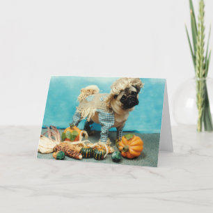 Pug Dog Scarecrow Kaart