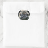 Pug Dog stickers (Tas)