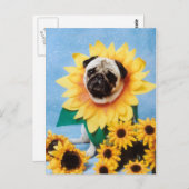 Pug Dog Sunflower Briefkaart (Voorkant / Achterkant)