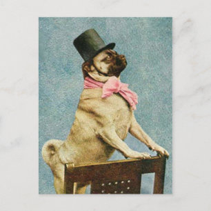 Pug Dog Tophat Briefkaart