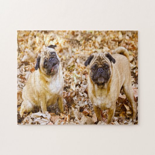 Pug Dogs. Legpuzzel (Horizontaal)