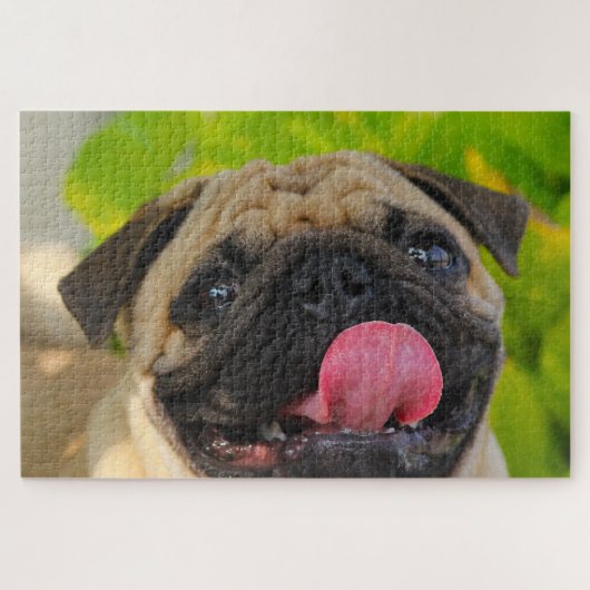 Pug Dogs. Legpuzzel (Horizontaal)