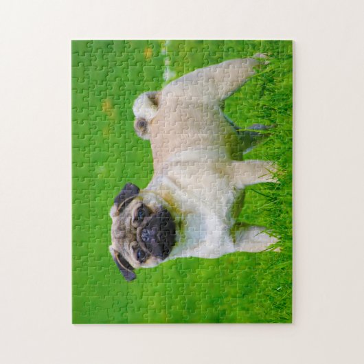 Pug Dogs. Legpuzzel (Verticaal)