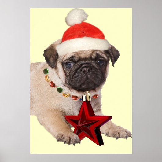 Pug een kerstStar-afdrukken Poster (Voorkant)