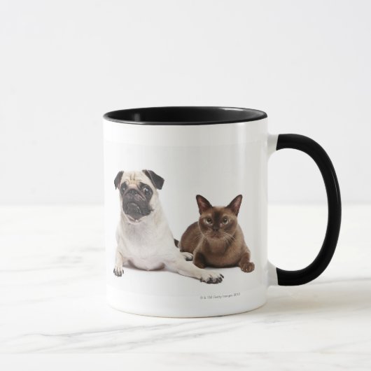 Pug en Birmese kat Mok (Rechts)