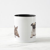 Pug en Birmese kat Mok (Midden)