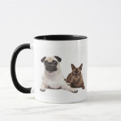 Pug en Birmese kat Mok (Links)