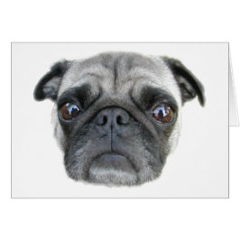 Pug Face Kaart