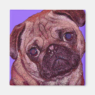 Pug Face Magnet Magneet