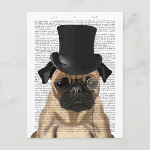 Pug, Formele hond en Pet Briefkaart
