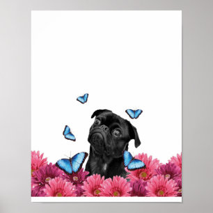 Pug Gerbera Butterflies Cute Black Dog Poster