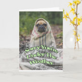 Pug Get Well Card Kaart (Gele Bloem)
