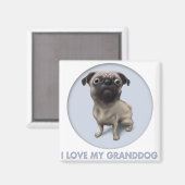 Pug Granddog Magneet (Voorkant / Achterkant)