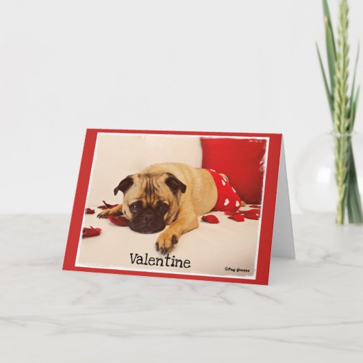 Pug Groef Feestdagen Kaart (Voorkant)