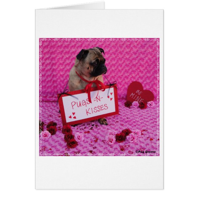 Pug Groove (Voorkant)