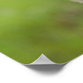 Pug Head die naar camera kijkt Poster (Hoek)