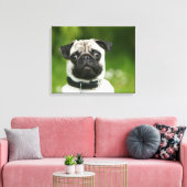 Pug headshot canvas afdruk (Insitu (Woonkamer))