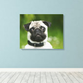 Pug headshot canvas afdruk (Insitu (Houten vloer))
