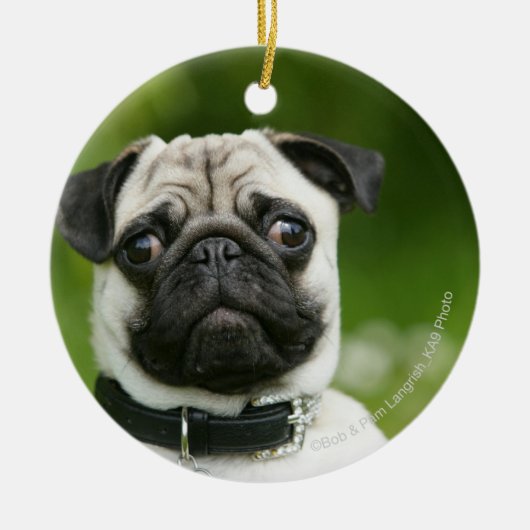 Pug headshot keramisch ornament (Voorkant)