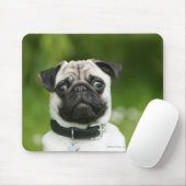 Pug headshot muismat (Met muis)