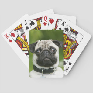 Pug headshot pokerkaarten