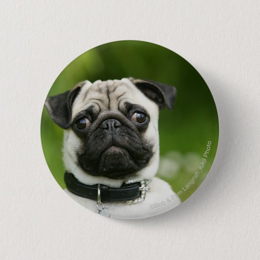 Pug headshot ronde button 5,7 cm (Voorkant)