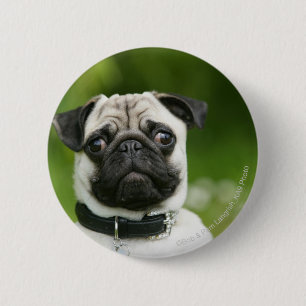 Pug headshot ronde button 5,7 cm