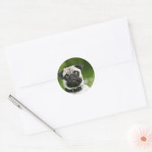 Pug headshot ronde sticker (Envelop)