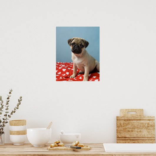 Pug Heart Puppy Poster (Keuken)