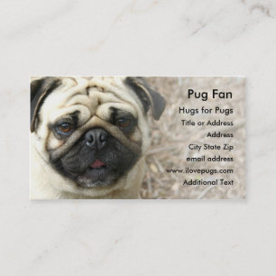 Pug het Visitekaartje van de Foto