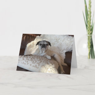 Pug Holiday Kaart Lily the Pug
