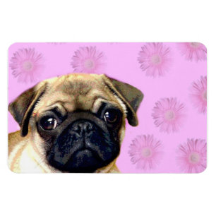 Pug hond magneet
