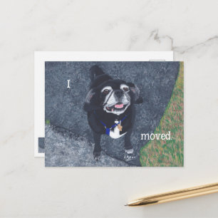 Pug Hond Nieuw Adres Postkaarten
