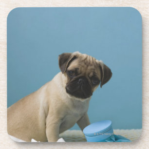 Pug hond op bed met een hete waterfles en drankjes onderzetter