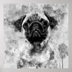Pug Hond Zwart en Wit Aquarel 01 Poster