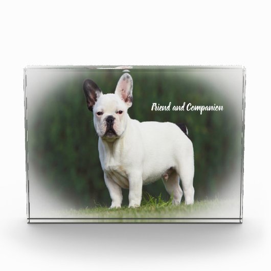 Pug Honden Fotoblokken (Voorkant)