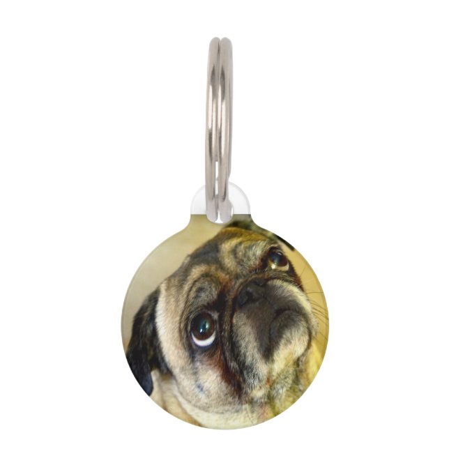 Pug honden. huisdierpenning (Voorkant)
