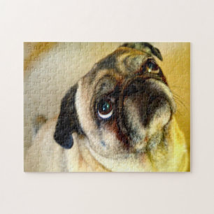Pug honden. legpuzzel