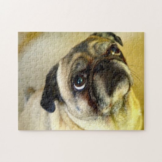 Pug honden. legpuzzel (Horizontaal)