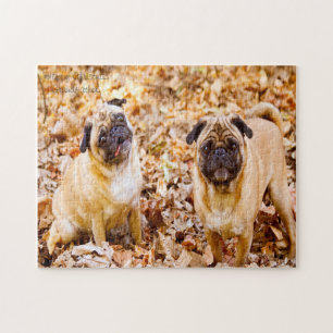 Pug Honden. Legpuzzel