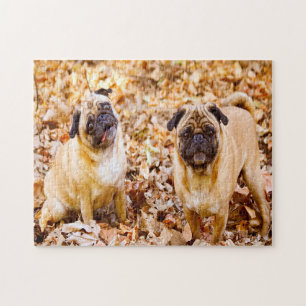 Pug Honden. Legpuzzel