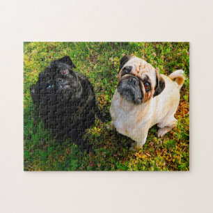 Pug Honden. Legpuzzel