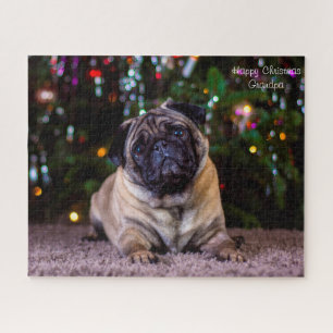 Pug honden. legpuzzel