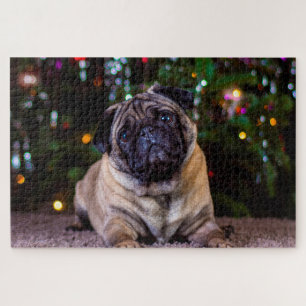 Pug honden. legpuzzel