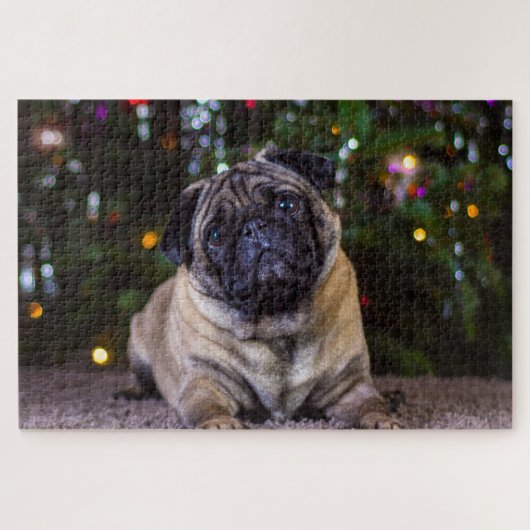Pug honden. legpuzzel (Horizontaal)